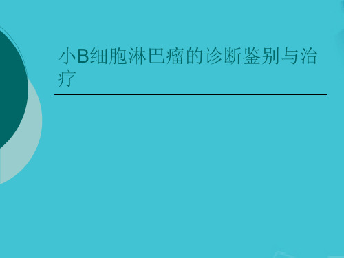 小B细胞淋巴瘤的诊断鉴别与治疗