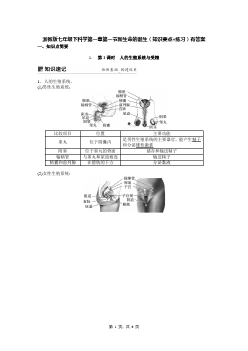 浙教版七年级下科学第一章第1节新生命的诞生(知识要点+练习)有答案