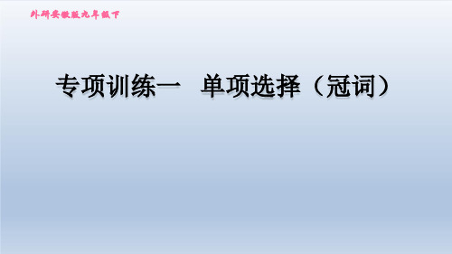 2020春外研版英语中考题型专项训练一 单项选择(冠词)