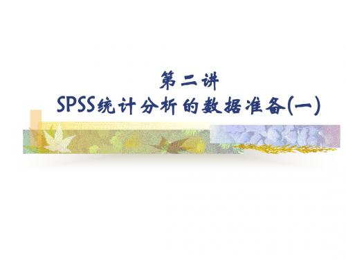 第二讲 SPSS的数据准备(一)