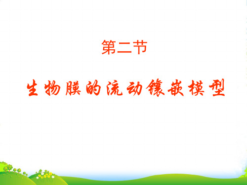 人教版高中生物必修一课件:4.2生物膜的流动镶嵌模型 (共29张PPT)