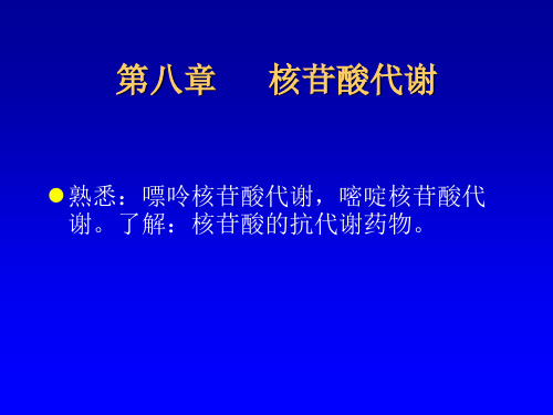 第八章核苷酸代谢