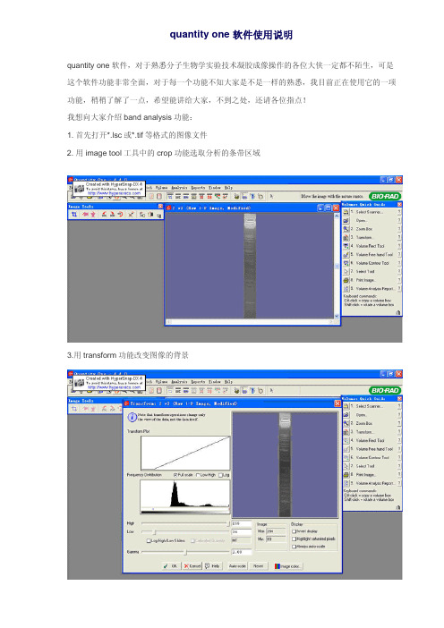 quantity_one_软件使用说明