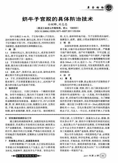 奶牛子宫脱的具体防治技术