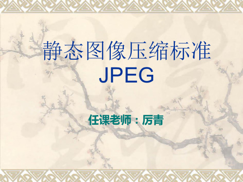 静态JPEG图像压缩标准