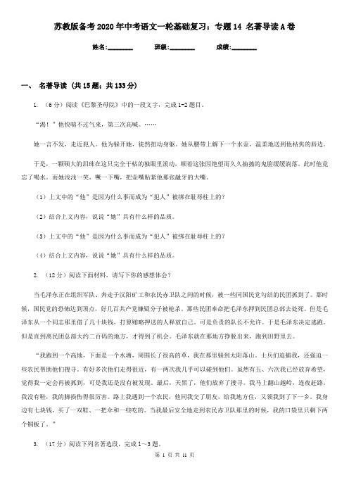 苏教版备考2020年中考语文一轮基础复习:专题14 名著导读A卷