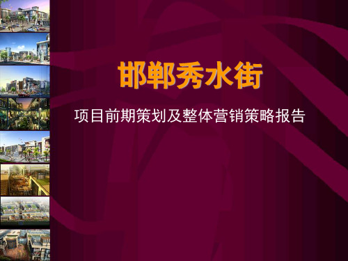 邯郸秀水街项目前期策划及整体营销策略报告：邯郸秀水街前期策划方案