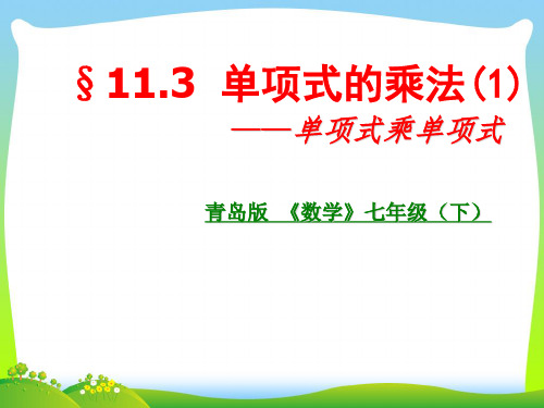 【最新】青岛版七年级数学下册第十一章《11.3单项式的乘法(1)》优秀课件.ppt