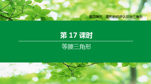 中考数学复习方案 第四单元 图形的初步认识与三角形 第17课时 等腰三角形课件