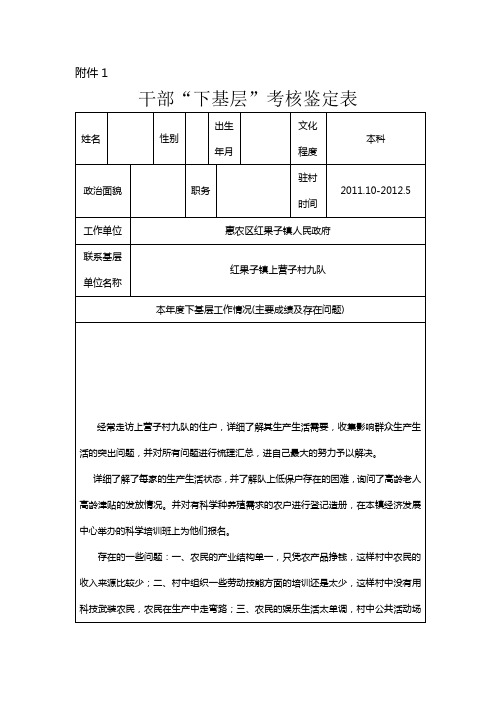 干部“下基层”考核鉴定表