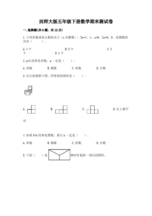 西师大版五年级下册数学期末测试卷(完整版)