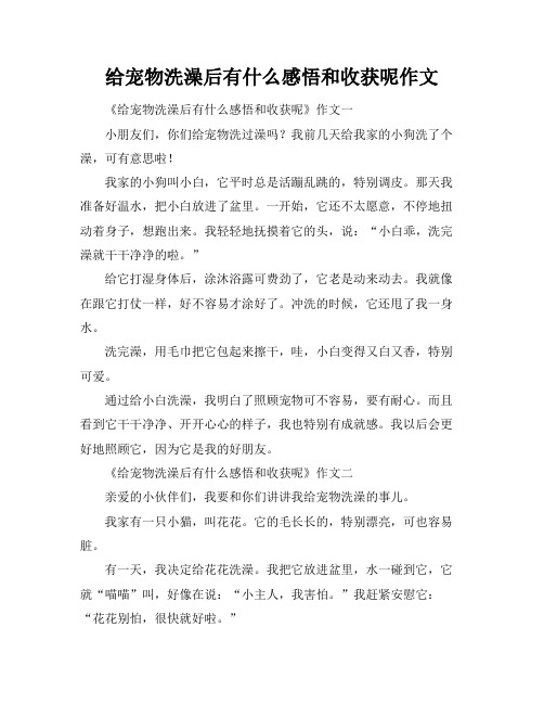 给宠物洗澡后有什么感悟和收获呢作文