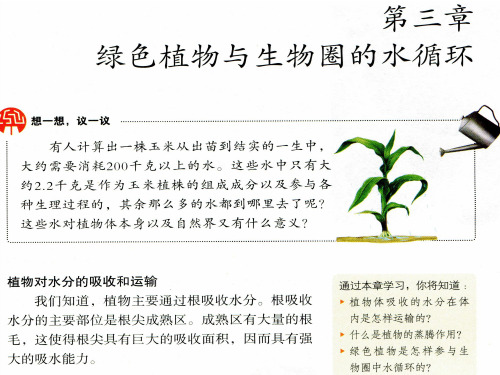 2015-绿色植物与生物圈的水循环-佛山谢永红