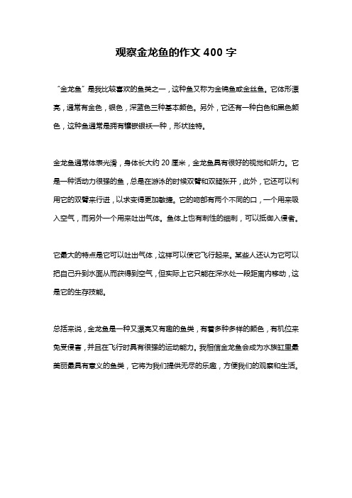 观察金龙鱼的作文400字