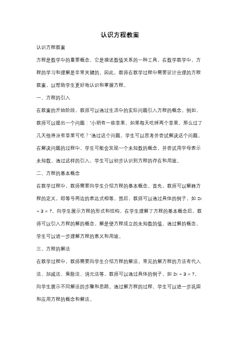 认识方程教案