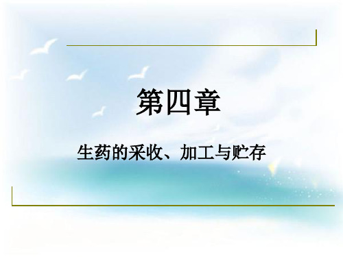 第四章   生药的采收、产地加工与贮存