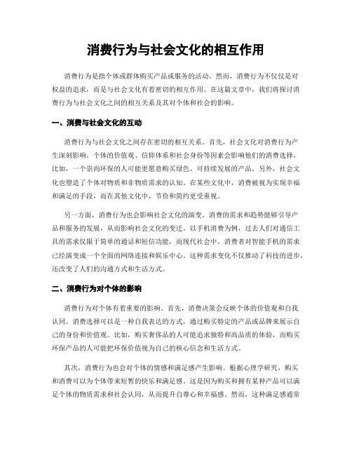 消费行为与社会文化的相互作用