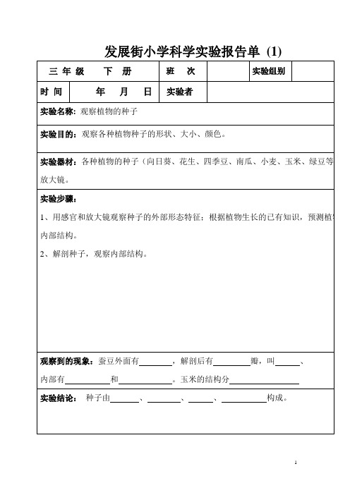 教科版三年级下册科学实验报告单