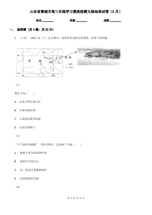 山东省聊城市高三在线学习摸底检测文综地理试卷(5月)