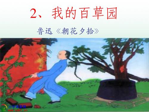 六年级语文上册《我的百草园》PPT课件(西师大版)