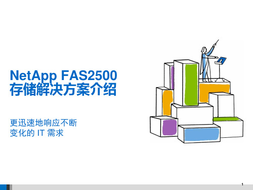 NetApp FAS2500存储解决方案介绍