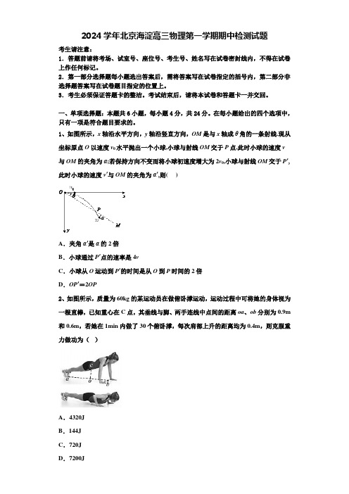 2024学年北京海淀高三物理第一学期期中检测试题含解析