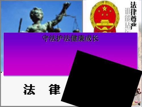 法律伴我们健康成长ppt优秀课件 湘教版