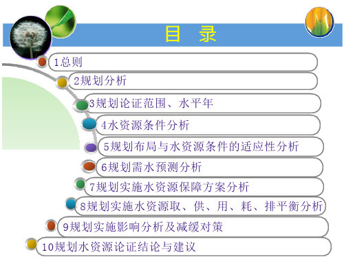 规划水资源论证分析