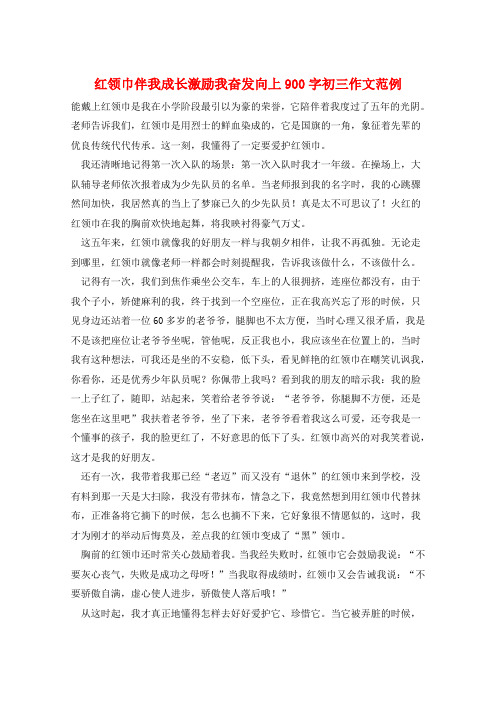 红领巾伴我成长激励我奋发向上900字初三作文范例