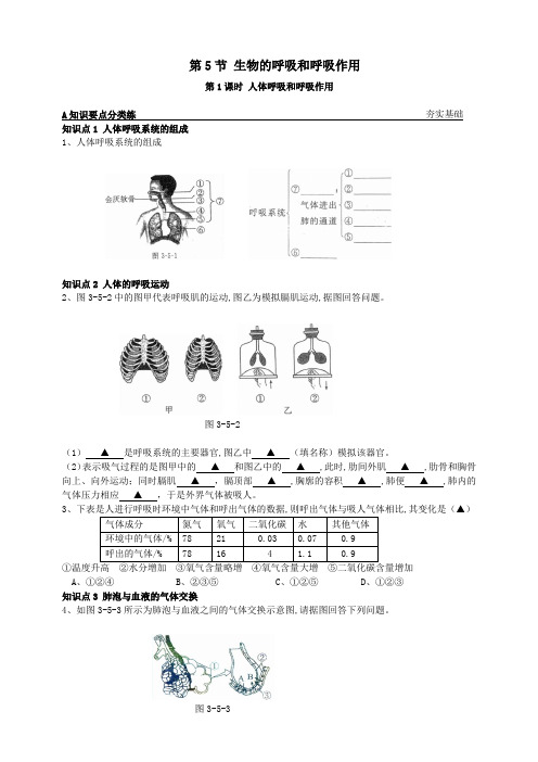 8-3-5-1人体呼吸和呼吸作用-2023-2024学年八年级科学下册同步高效学习(浙教版)(原卷