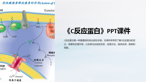 《C反应蛋白》课件