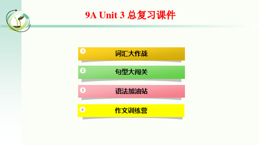 牛津译林教材9AUnit3 中考复习课件(28张)