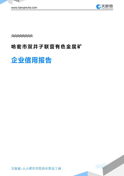 哈密市双井子联营有色金属矿企业信用报告-天眼查