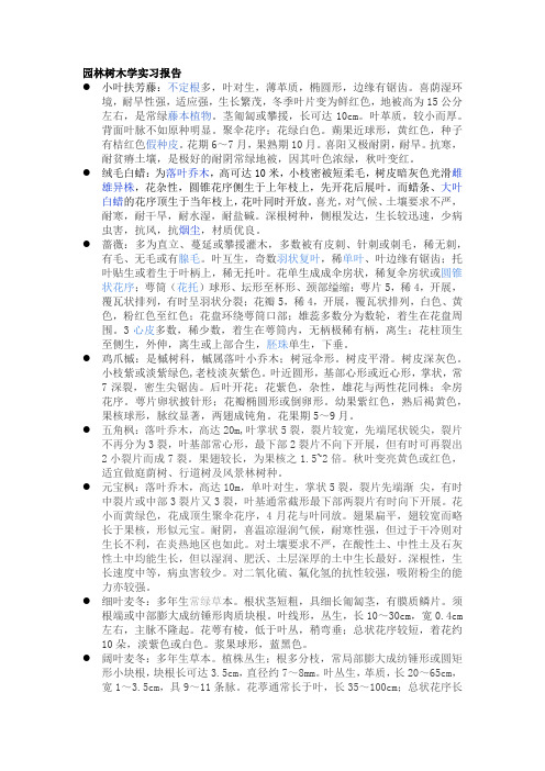 园林树木学实习报告