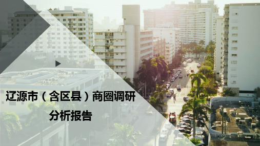 辽源市(含区县)商圈调研分析报告