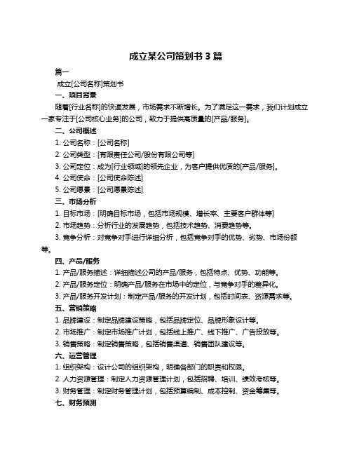 成立某公司策划书3篇