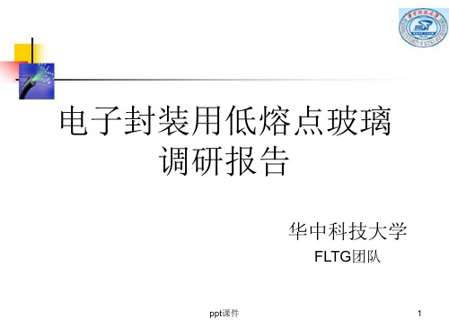 电子封装用低熔点玻璃调研报告  ppt课件