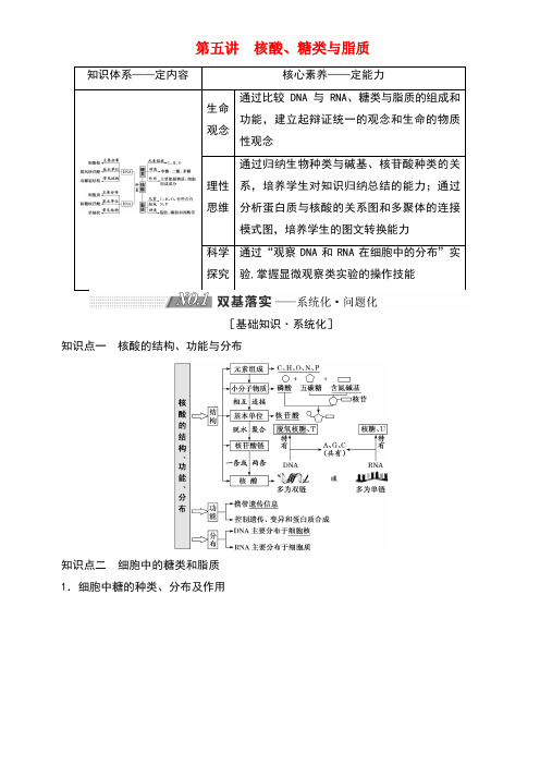 (全国通用)2019版高考生物一轮复习 第一单元 细胞及其分子组成 第五讲 核酸、糖类与脂质精选教案