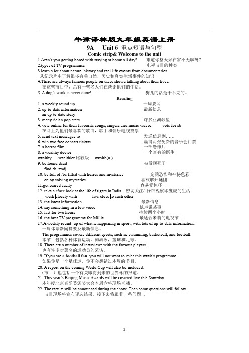 牛津译林版九年级英语上册9A Unit6重点短语与句型归纳