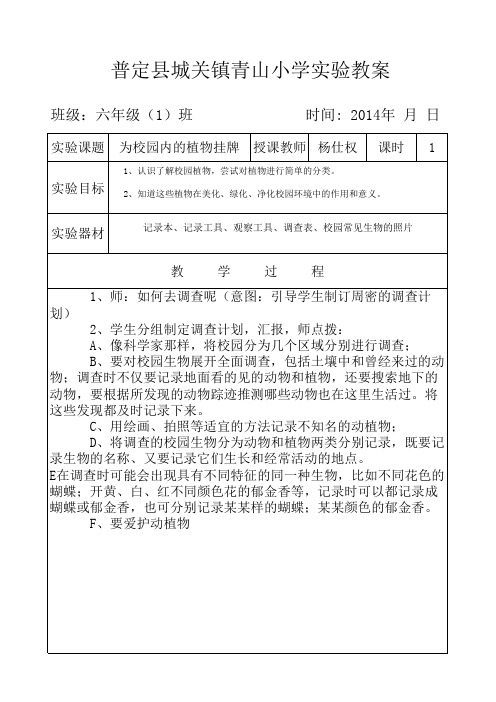 为校园内的植物挂牌教案