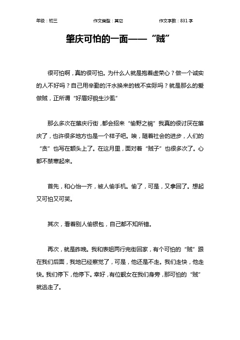 肇庆可怕的一面——“贼”作文【初中初三800字】