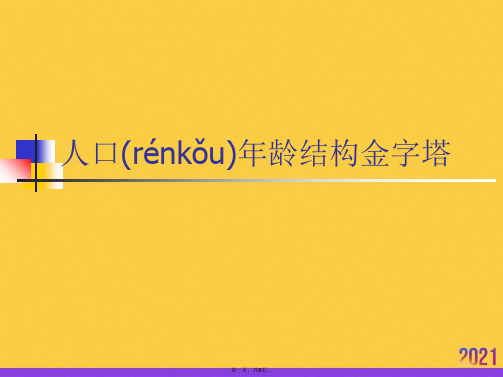 人口年龄结构金字塔推选优秀ppt