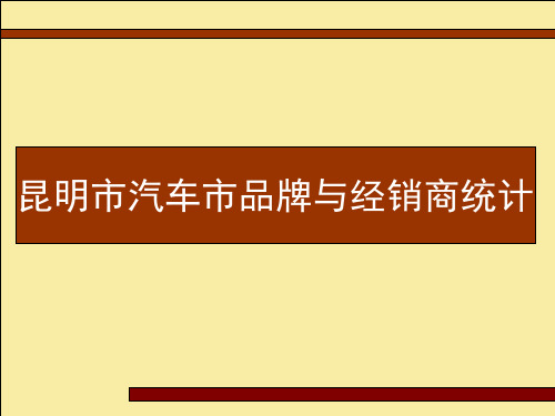 昆明汽车市场调查报告.