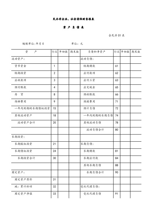 社会团体财务报表