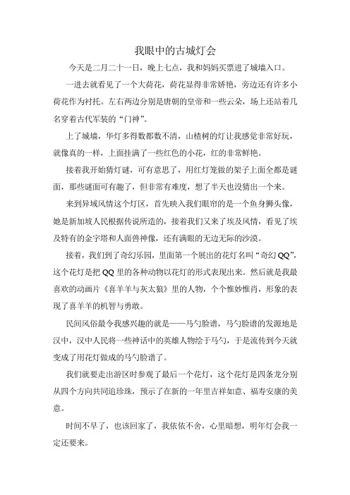 我眼中的古城灯会