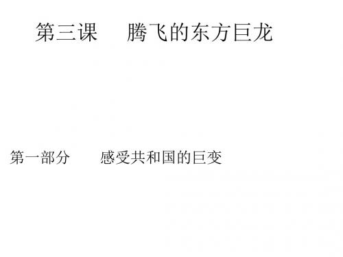 九年级政治全册第二单元五星红旗我为你骄傲第三课腾飞