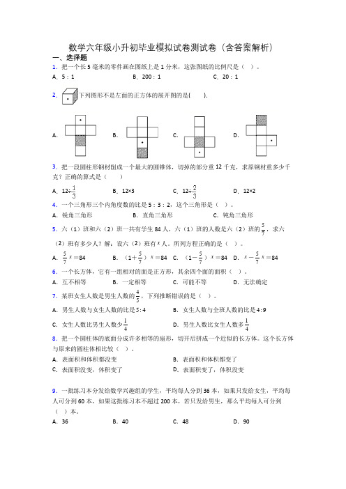 数学六年级小升初毕业模拟试卷测试卷(含答案解析)