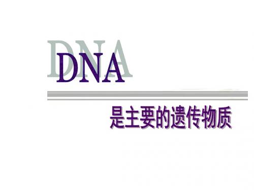 人教版高中生物必修二课件：3.1 DNA是主要的遗传物质(18张PPT)