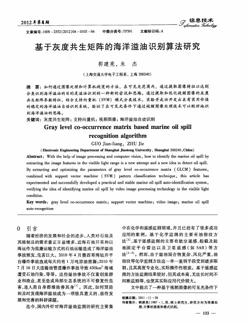 基于灰度共生矩阵的海洋溢油识别算法研究