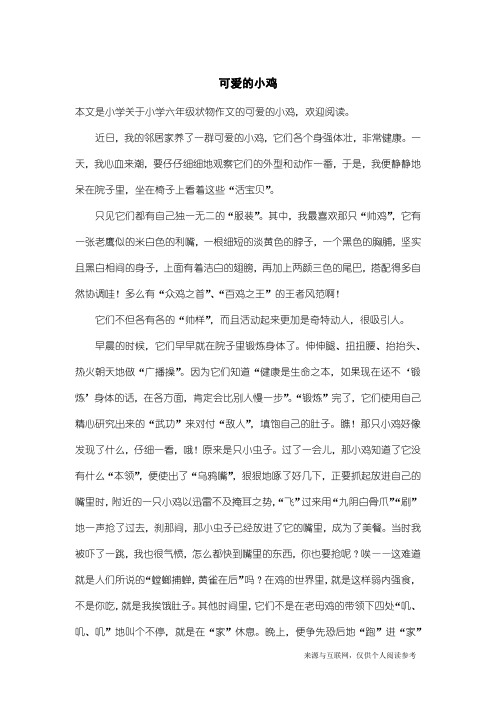 小学六年级状物作文：可爱的小鸡